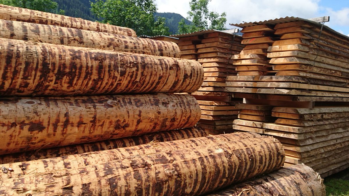 mit Holz bauen